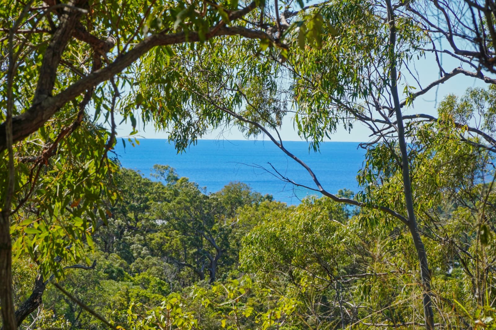 53A Seaspray Drive,Agnes Water, Agnes Water - Thumbnail 2