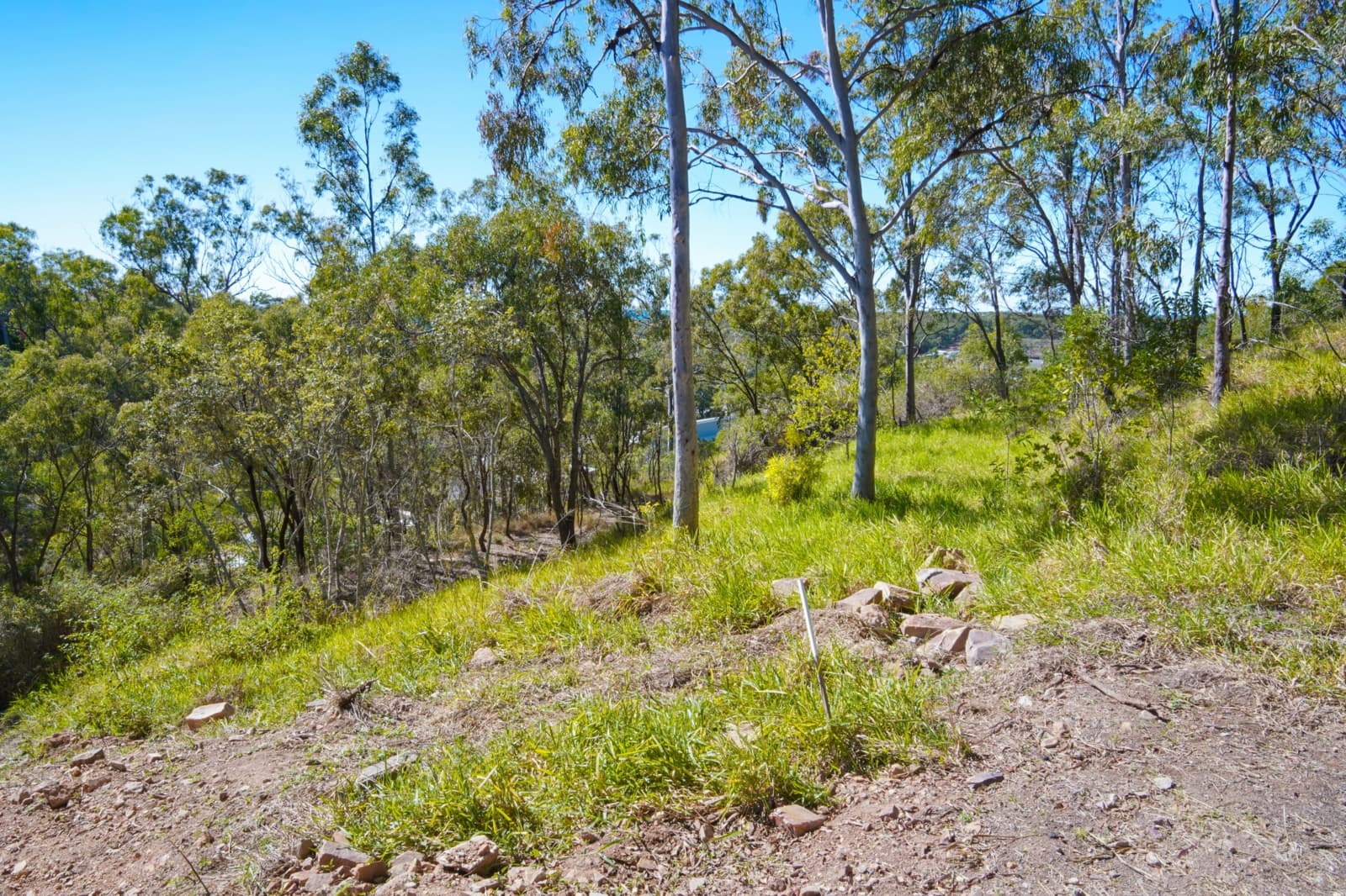 53A Seaspray Drive,Agnes Water, Agnes Water - Thumbnail 8