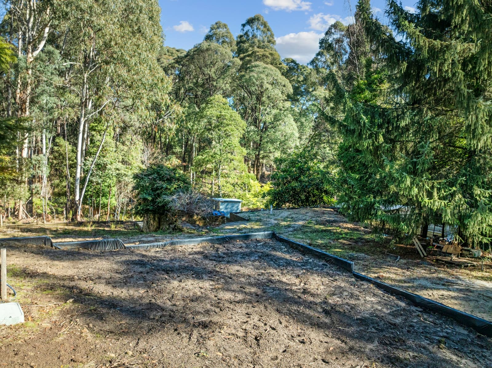 65 Rosella Street,Sawmill Settlement, Sawmill Settlement - Thumbnail 7