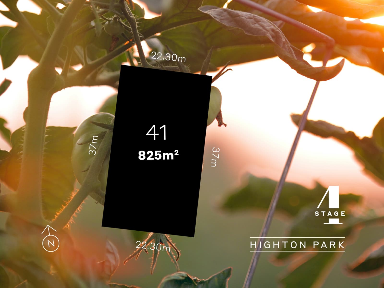 27 Williams Drive,Mansfield, Mansfield - Thumbnail 7
