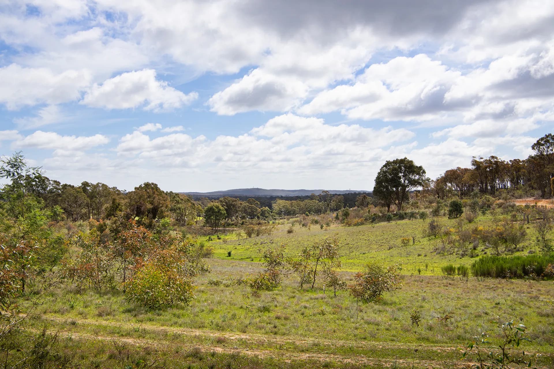Lot 3,  Mandurang South Road, Mandurang South, VIC, Mandurang South - Thumbnail 8