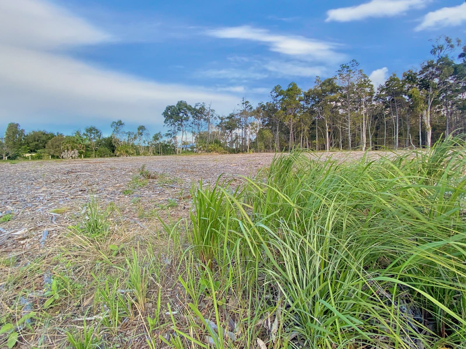 10 Sanderling Drive,Boonooroo, Boonooroo - Thumbnail 8
