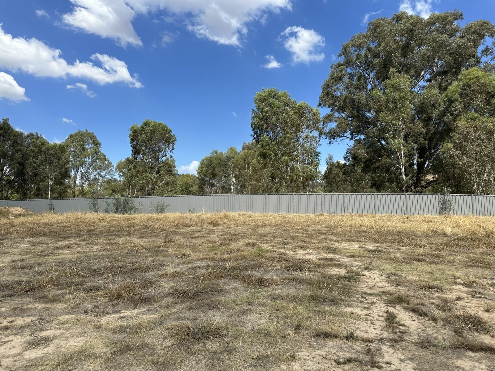 25 Williams Drive,Mansfield, Mansfield - Thumbnail 6