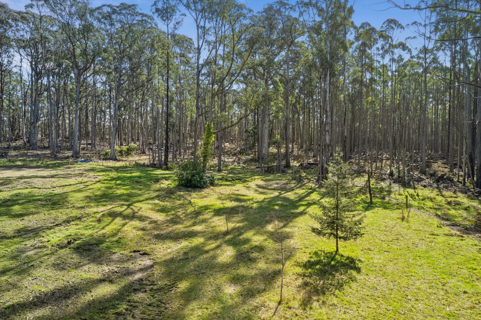 75 Back Settlement Road,Korweinguboora, Korweinguboora - Thumbnail 7