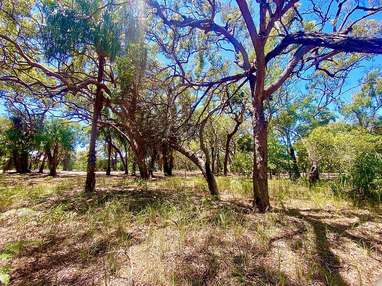 78 Bloodwood Avenue,Agnes Water, Agnes Water - Thumbnail 5