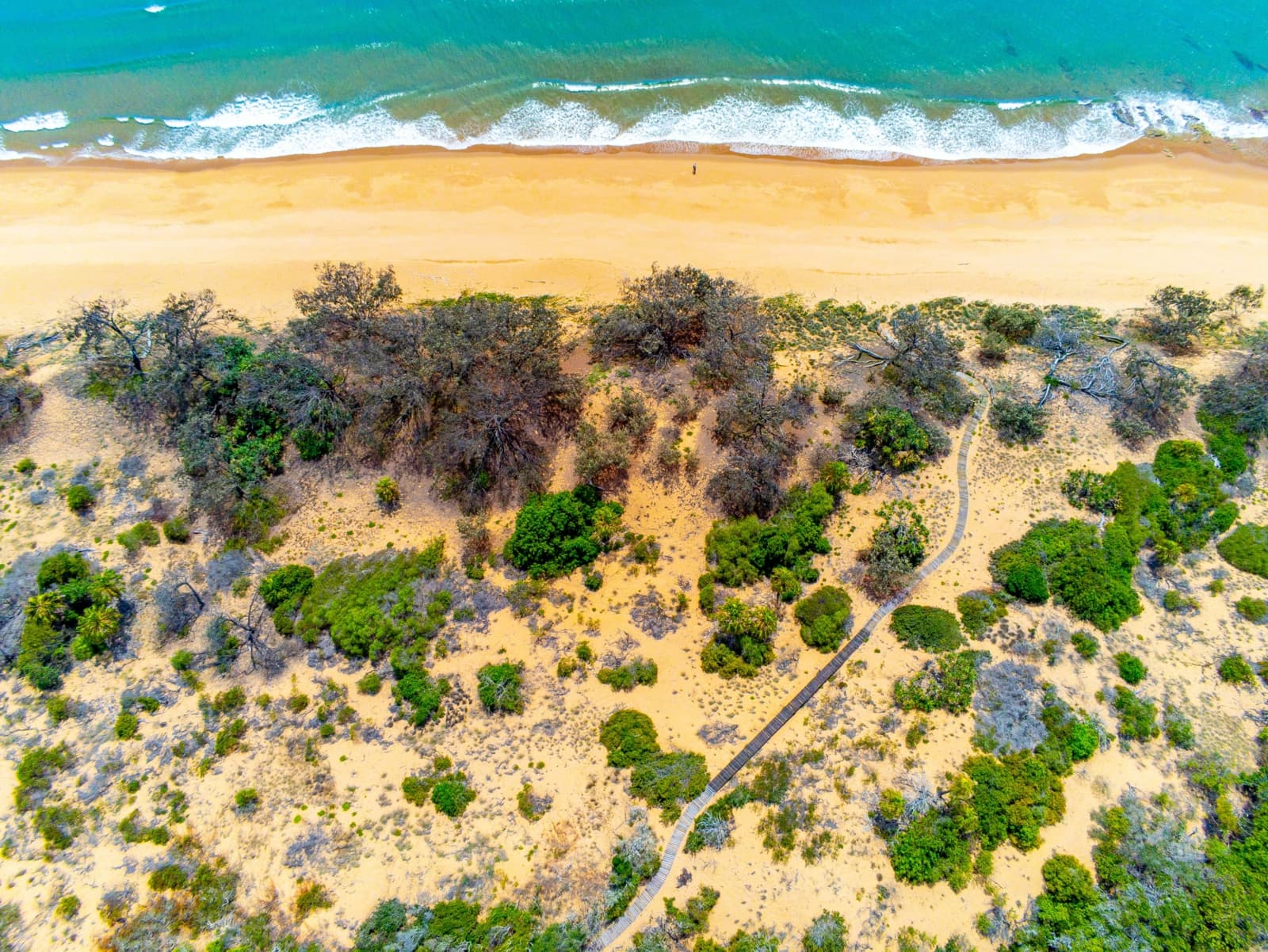 78 Bloodwood Avenue,Agnes Water, Agnes Water - Thumbnail 7