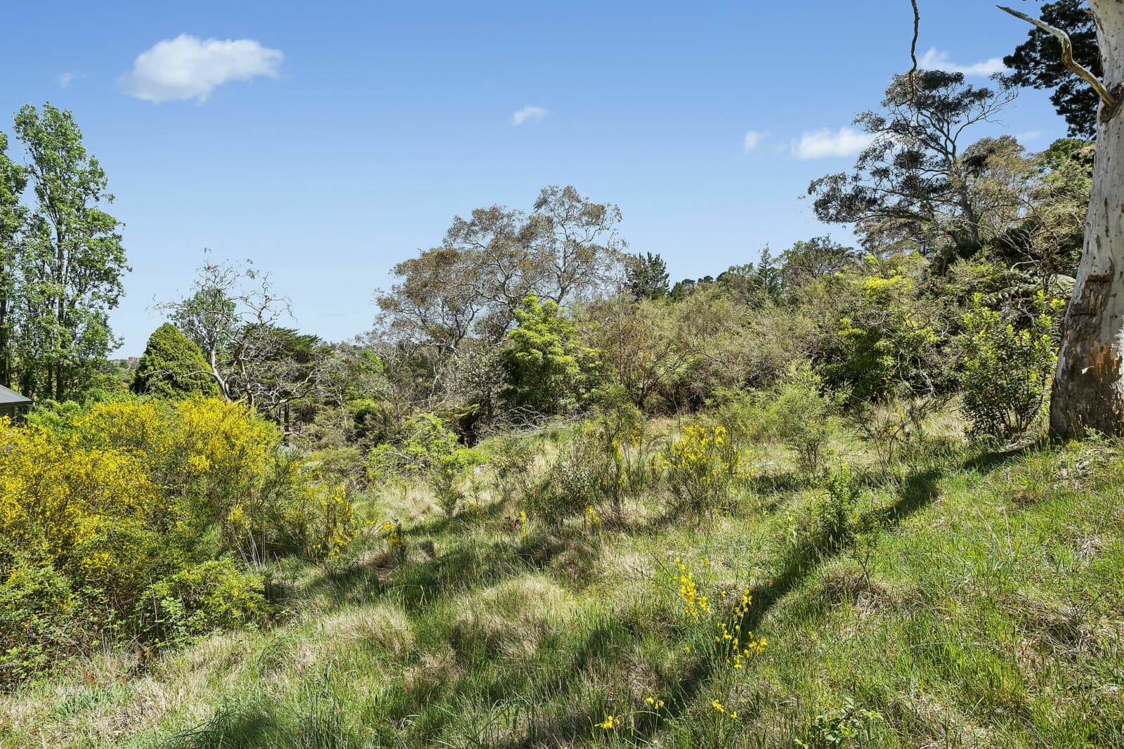 74 Railway Parade,Leura, Leura - Thumbnail 4