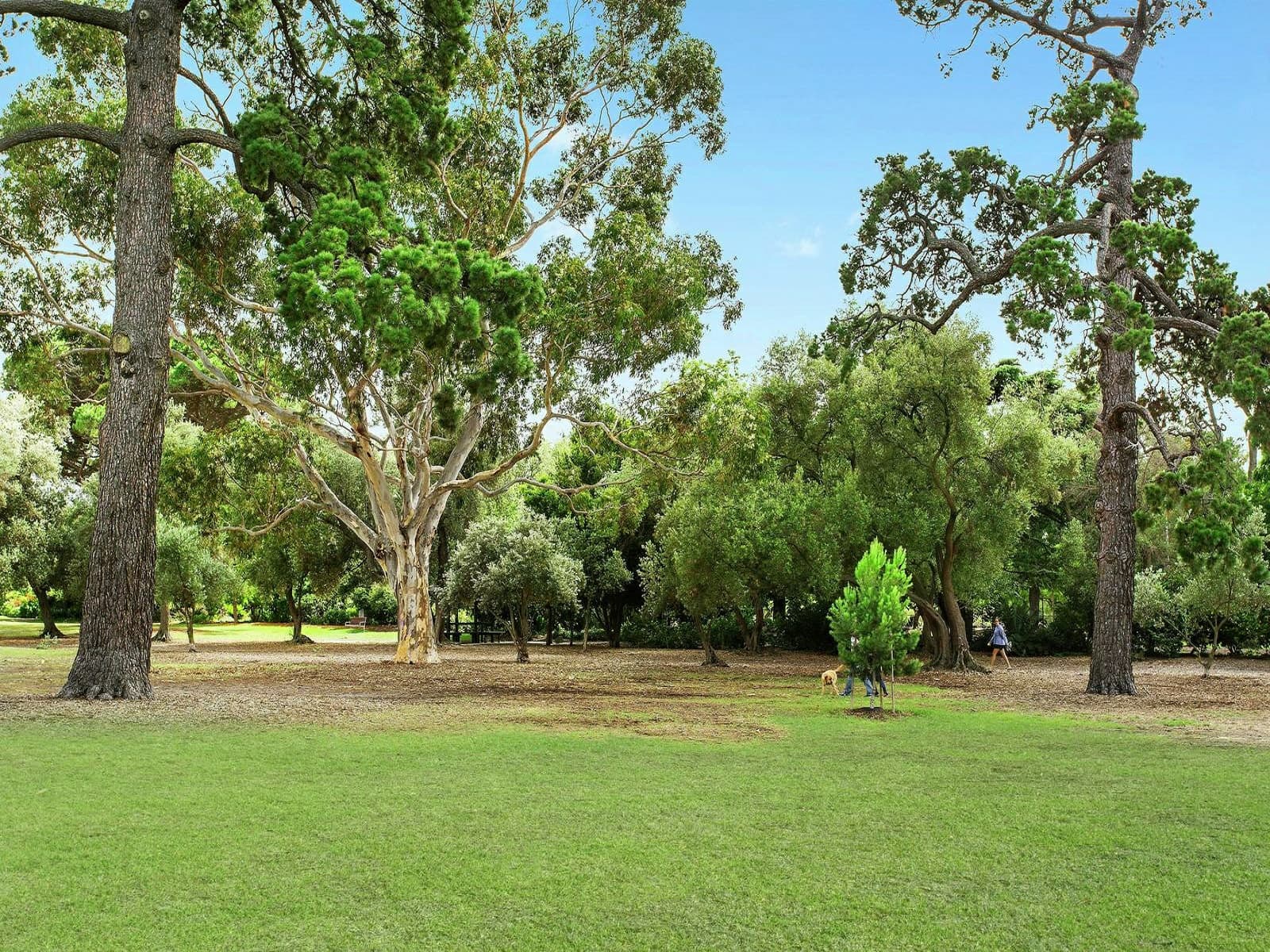 21/130 Alma Road,St Kilda East, St Kilda East - Thumbnail 8