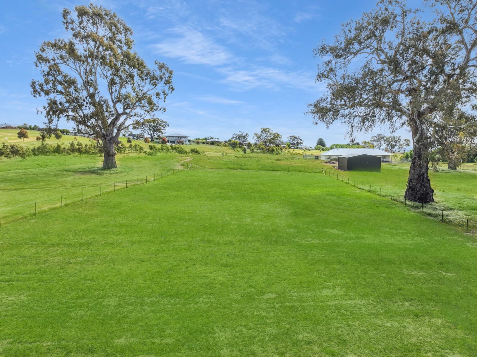 32 Greenslopes Avenue,Mansfield, Mansfield - Thumbnail 4