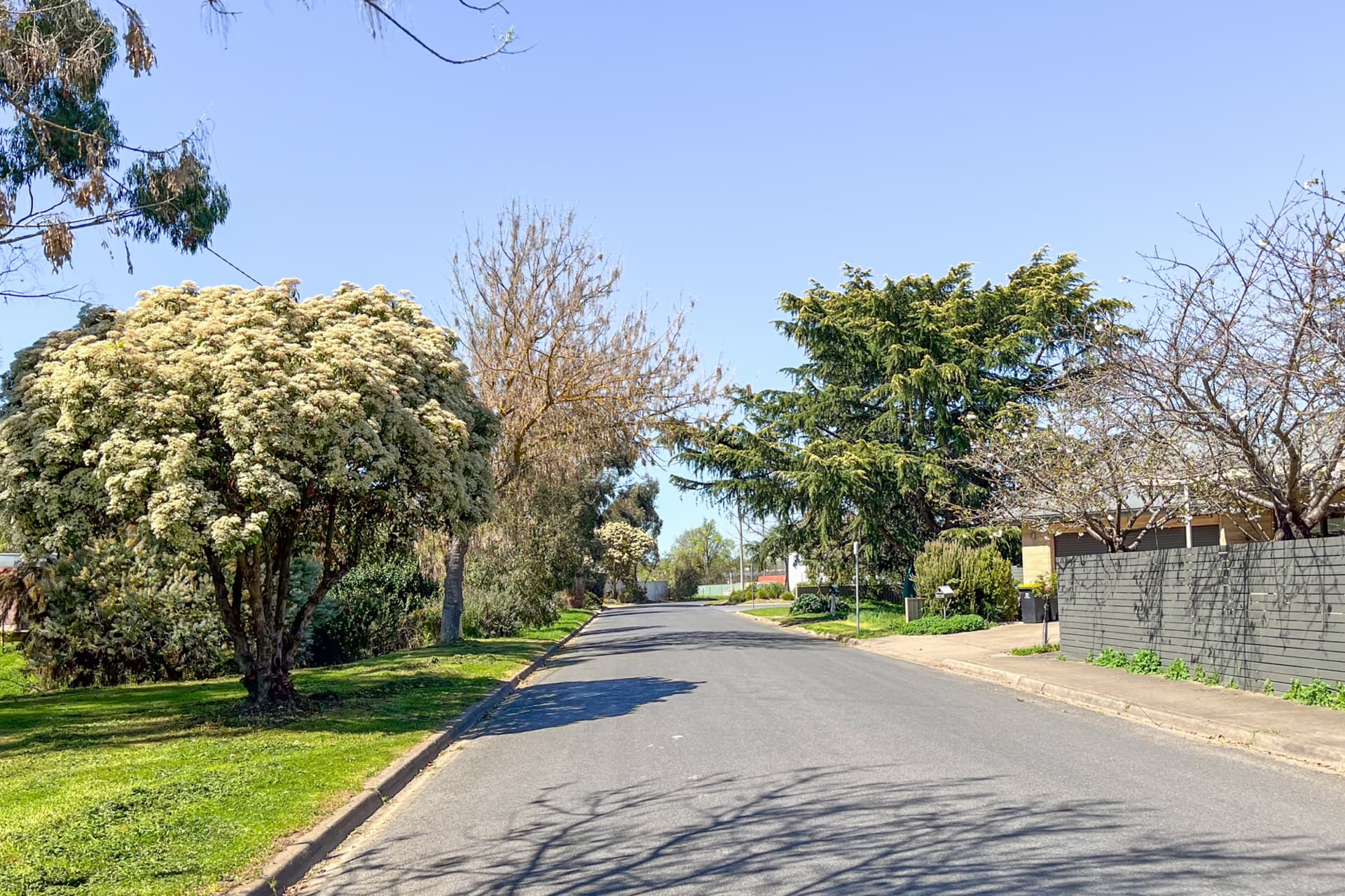 12 Baldry Street,Mansfield, Mansfield - Thumbnail 5