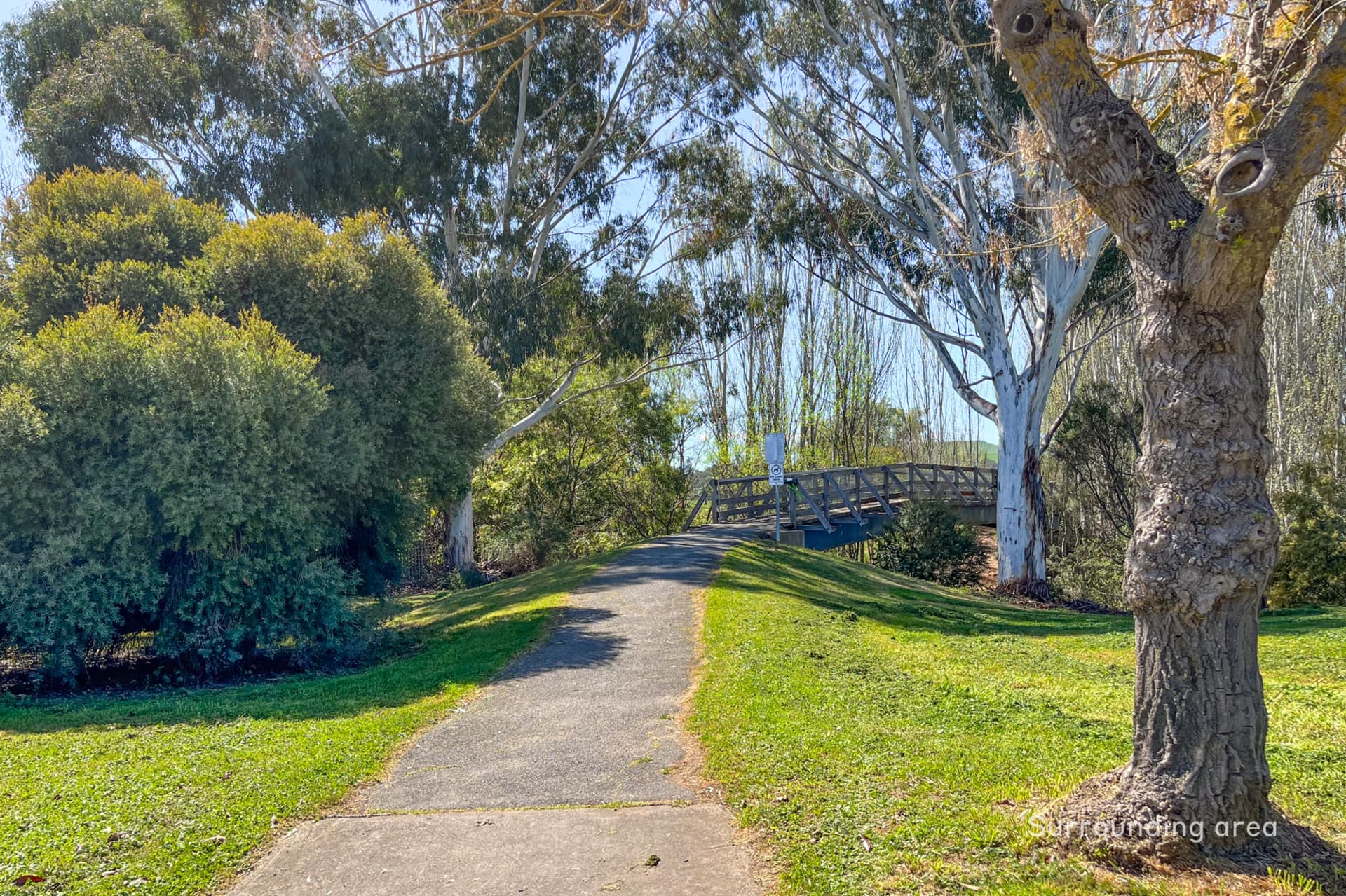 12 Baldry Street,Mansfield, Mansfield - Thumbnail 6