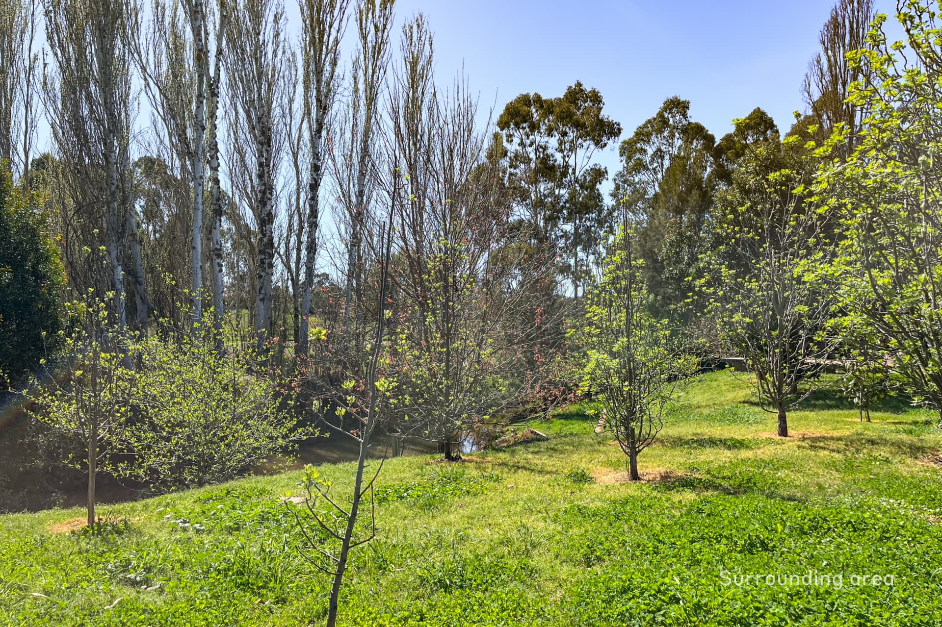 12 Baldry Street,Mansfield, Mansfield - Thumbnail 7