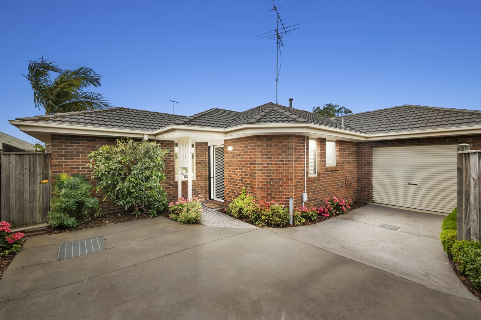 4/4 Koala Court,Whittington, Whittington - Image 1
