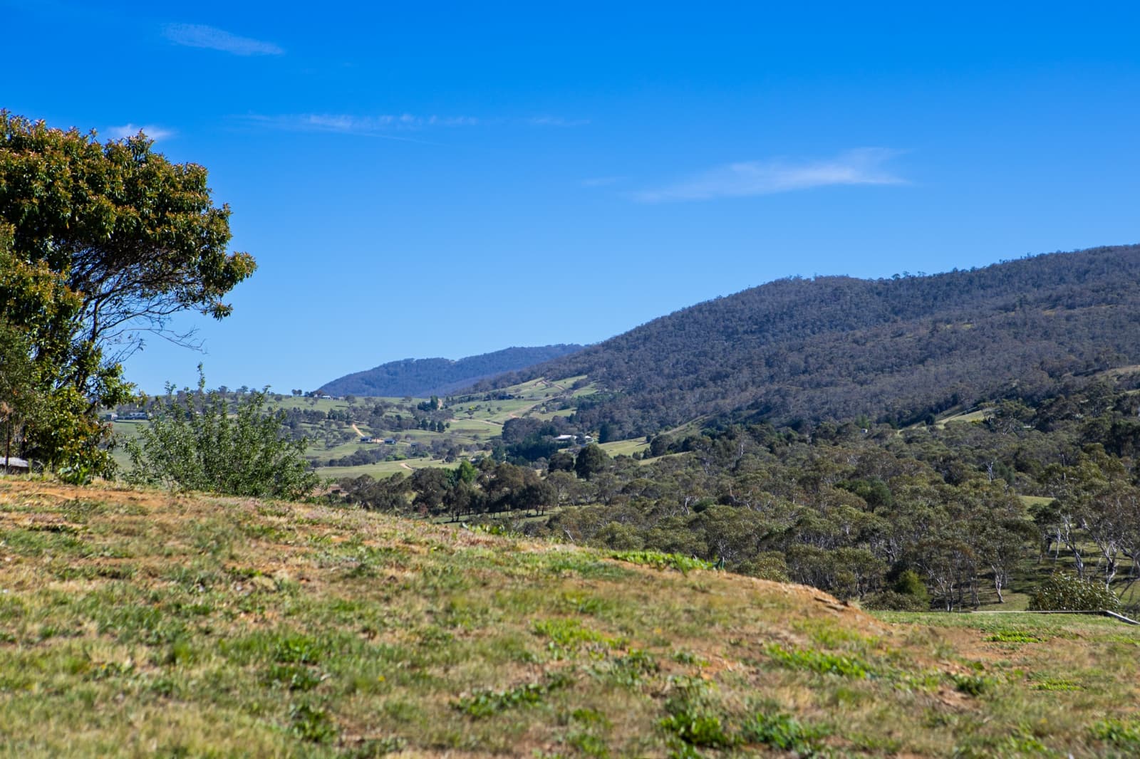 32 Banksia Avenue,Kalkite, Kalkite - Thumbnail 6