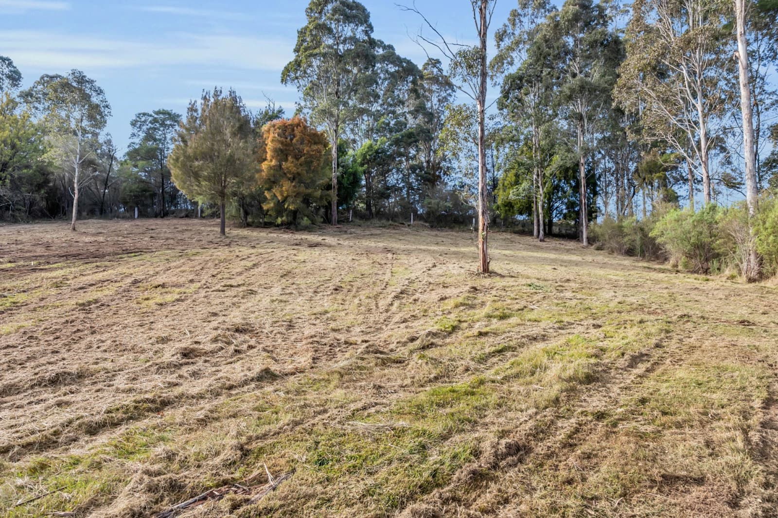 231 Back Creek Road,Nethercote, Nethercote - Thumbnail 2
