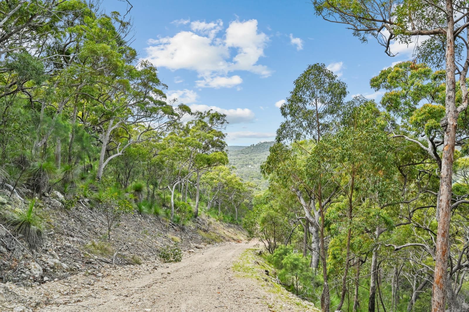 156 Josefski Road,Agnes Water, Agnes Water - Thumbnail 4