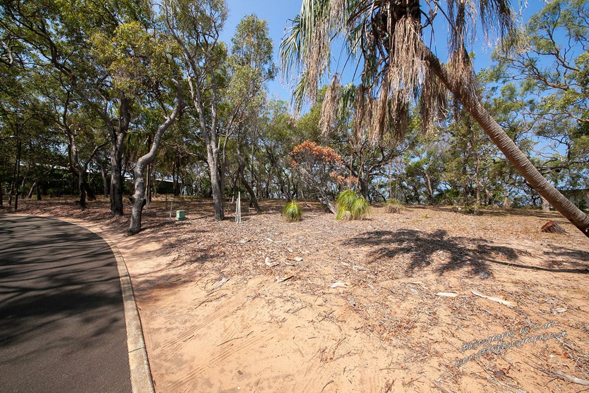 143 Bloodwood Ave South,Agnes Water, Agnes Water - Thumbnail 6