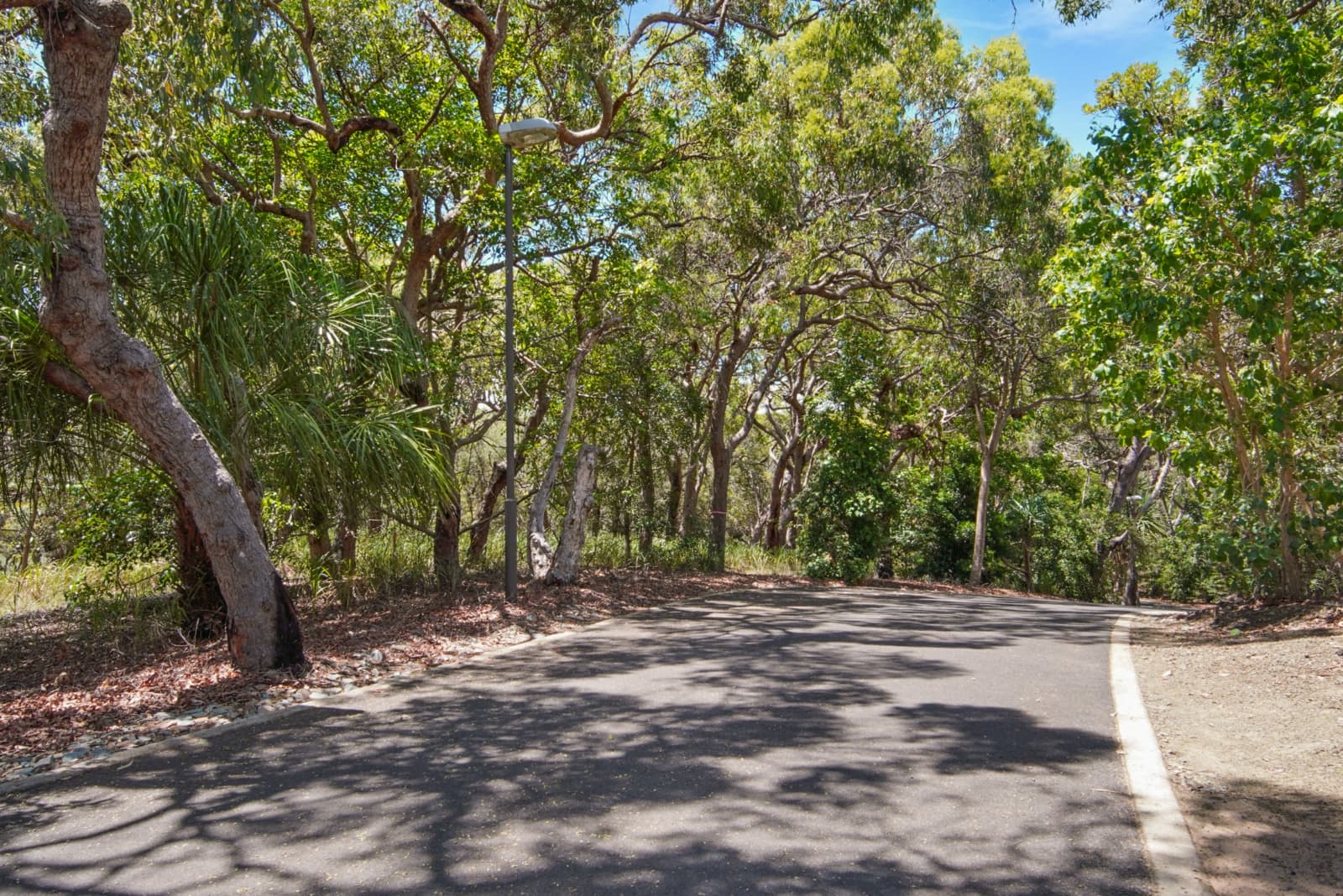 95 Bloodwood Avenue,Agnes Water, Agnes Water - Thumbnail 7