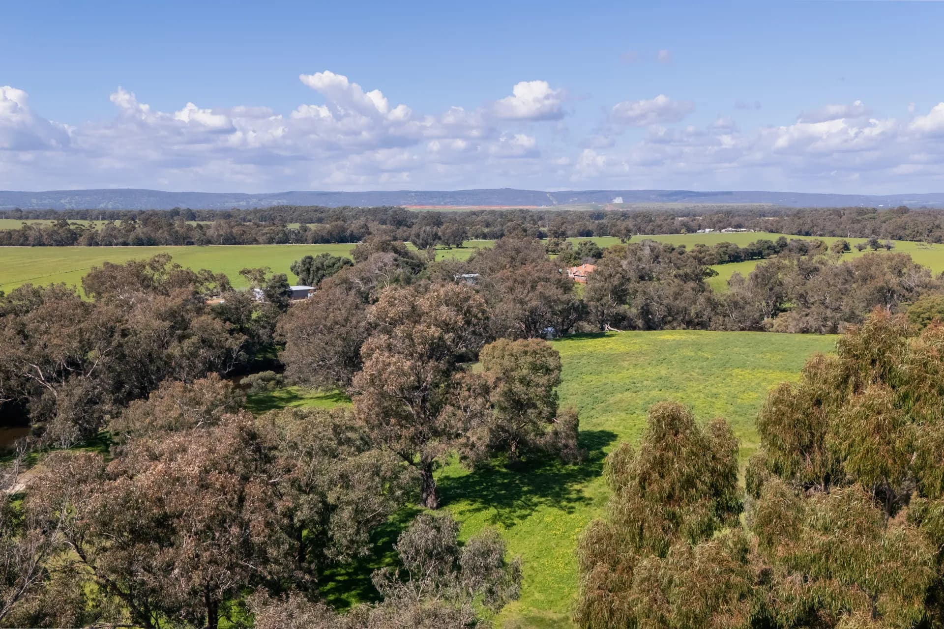 1 Wilson Road, Pinjarra., Pinjarra - Thumbnail 8