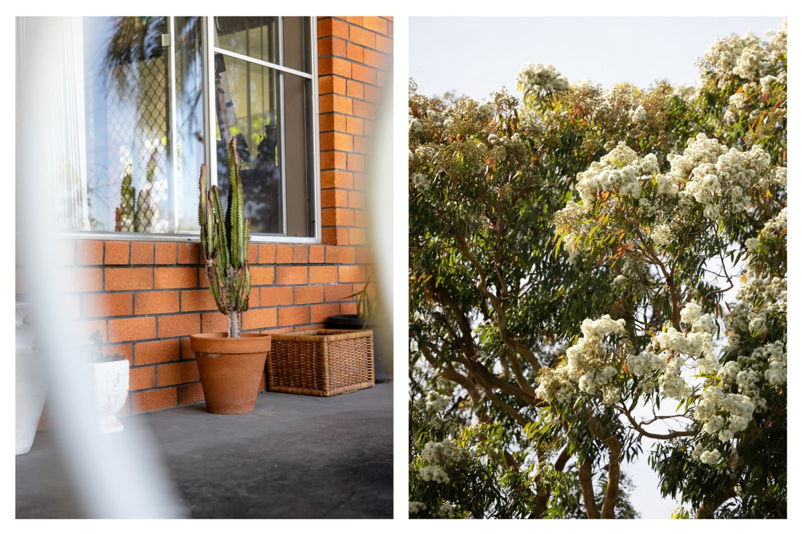 24 Canget Street,Wingham, Wingham - Thumbnail 4