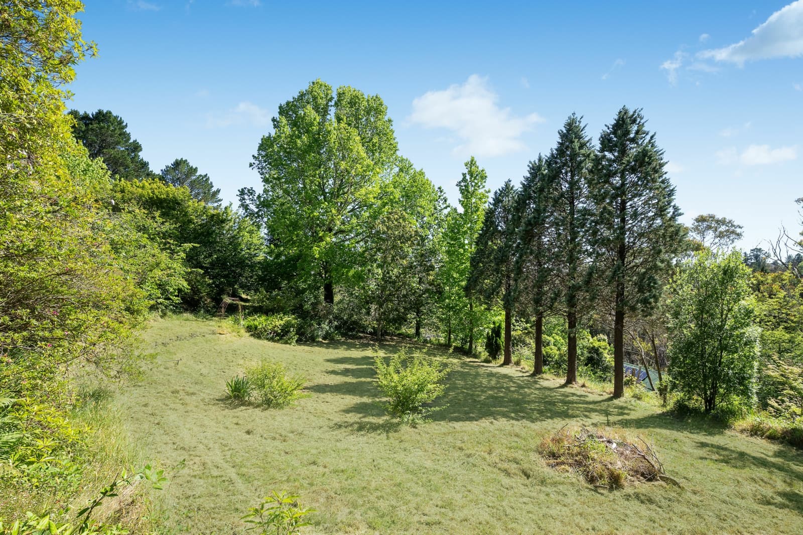14 Franklin Street,Leura, Leura - Thumbnail 6