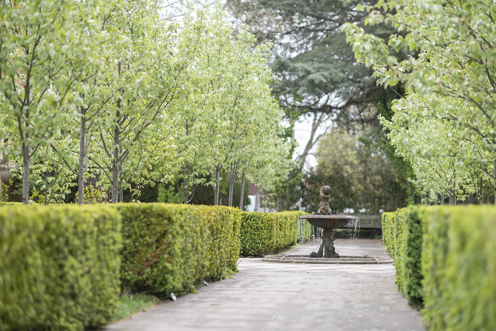 Doncaster House, Boutique Hotel, 1 Park Lane, Braidwood, NSW, Boutique Hotel - Thumbnail 4
