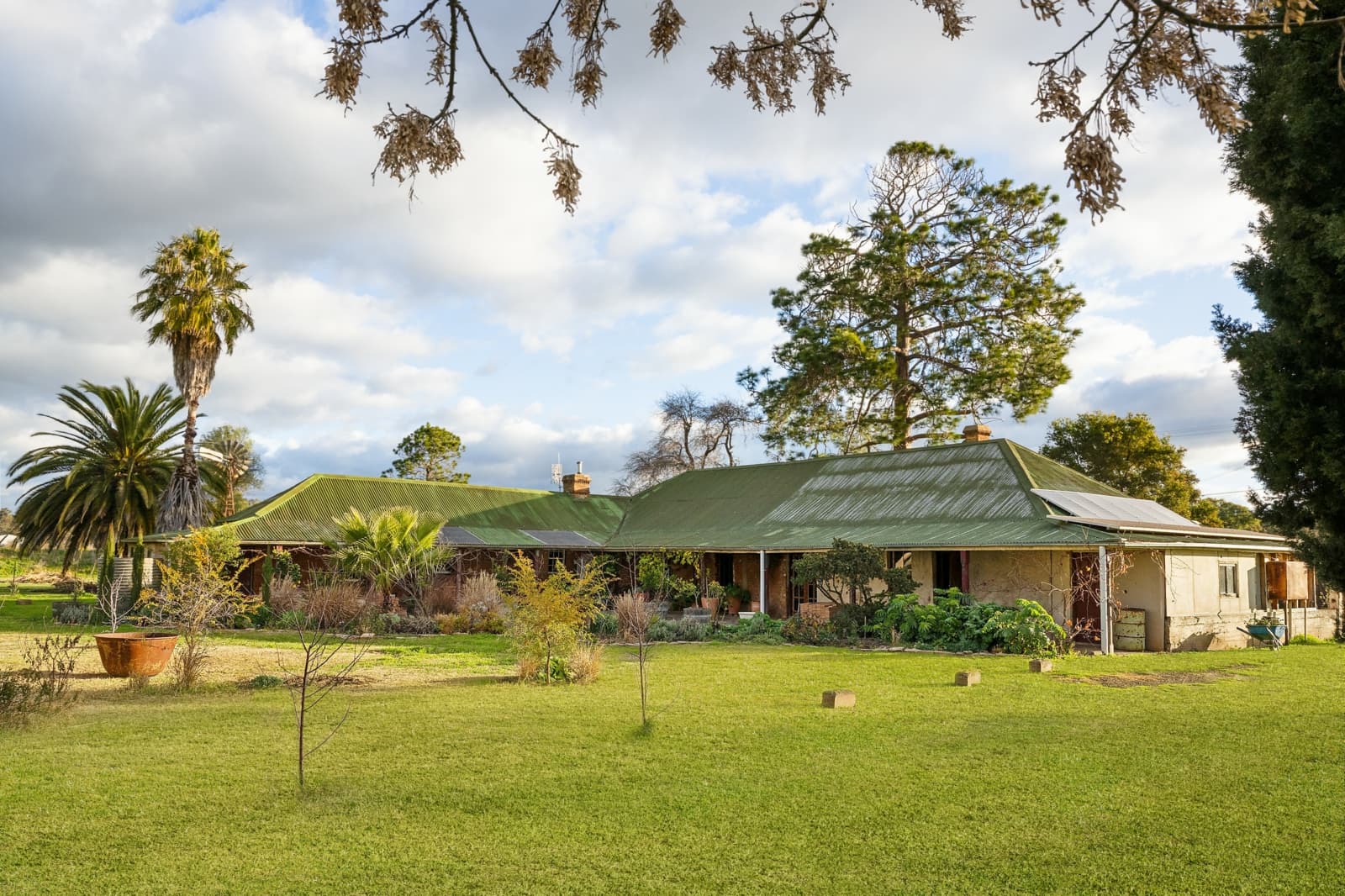 54 Kinghorn Street,Neurea, Neurea - Thumbnail 5