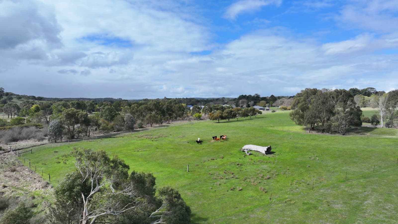 1938 Glenelg Highway,Scarsdale, Scarsdale - Thumbnail 6