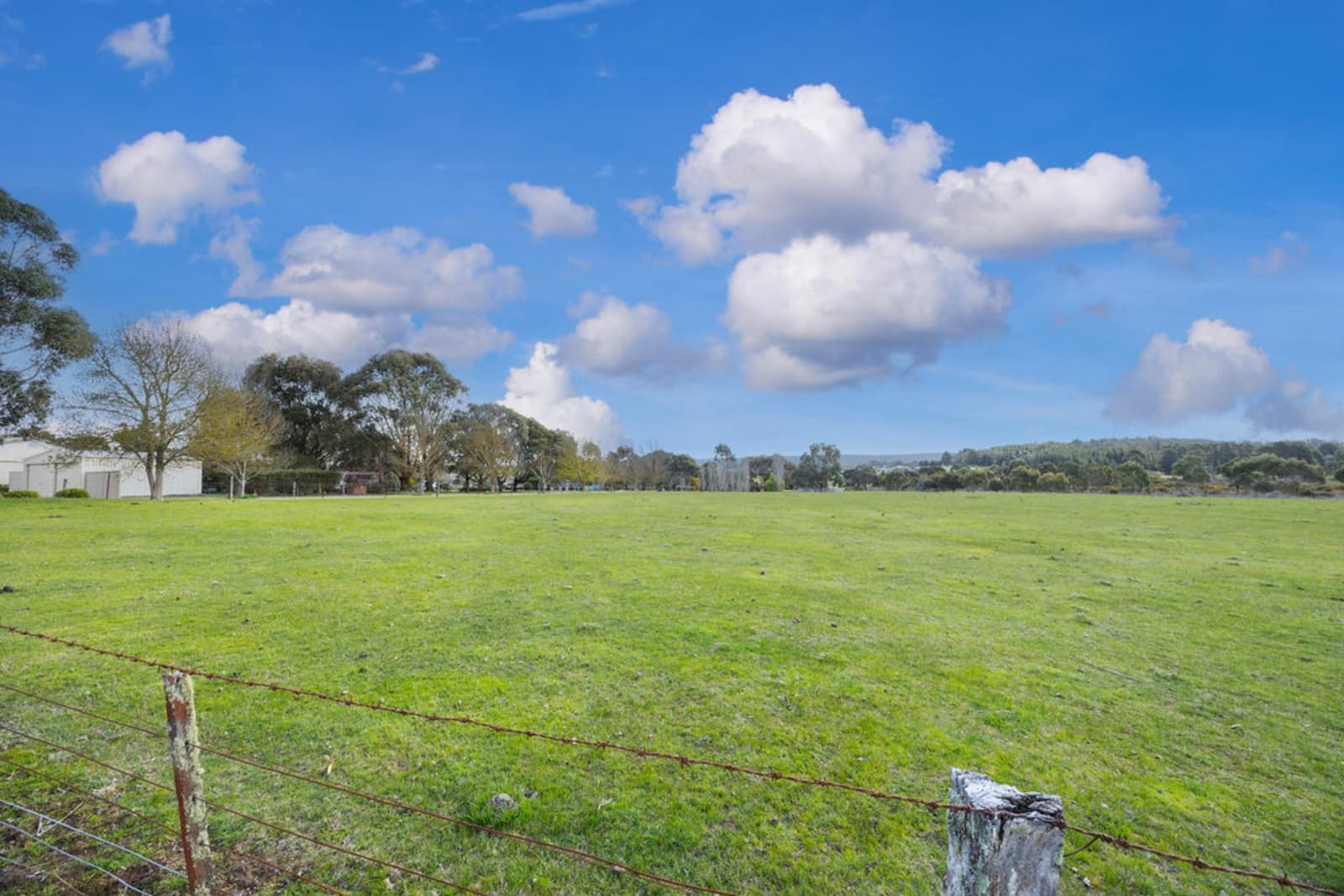 1938 Glenelg Highway,Scarsdale, Scarsdale - Thumbnail 7