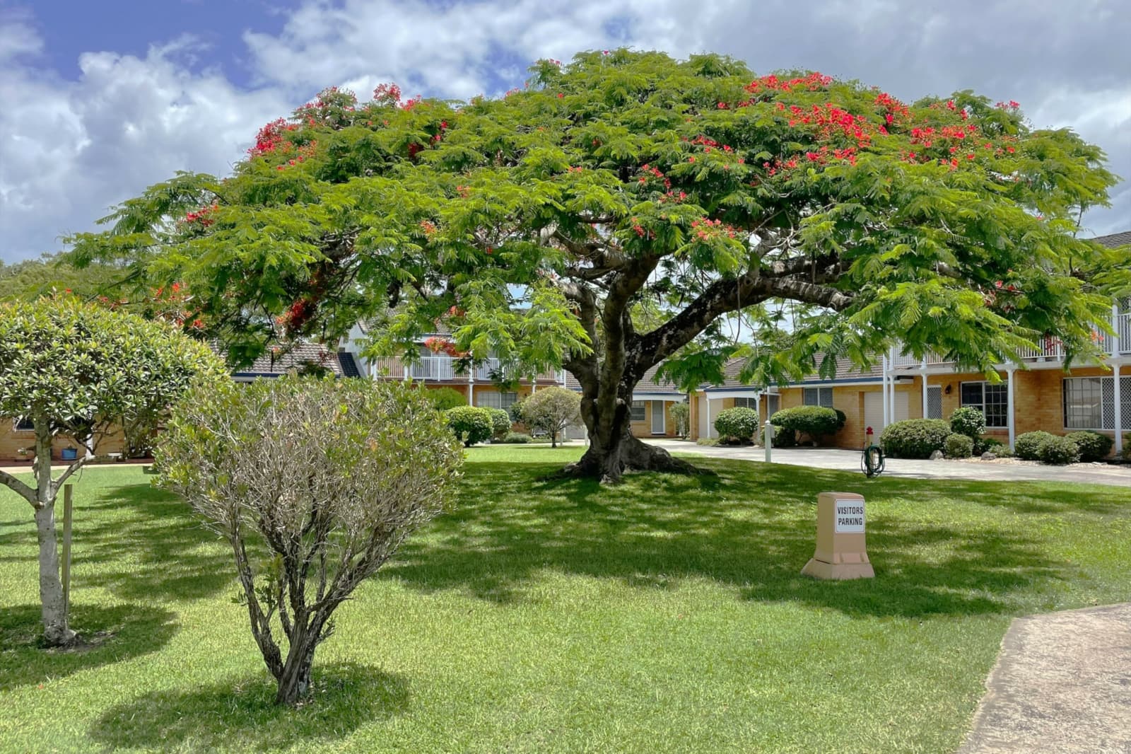 17/114 Cherry Street,Ballina, Ballina - Thumbnail 8