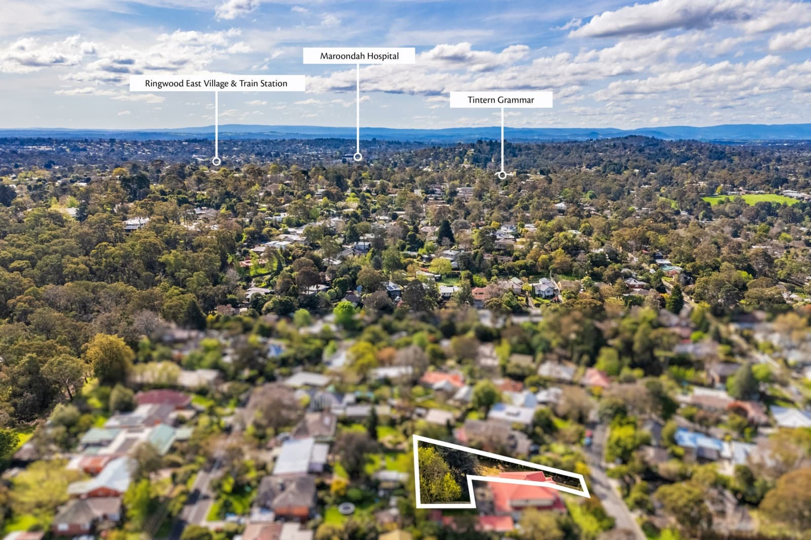 19A Fernwood Avenue,Ringwood East, Ringwood East - Thumbnail 6