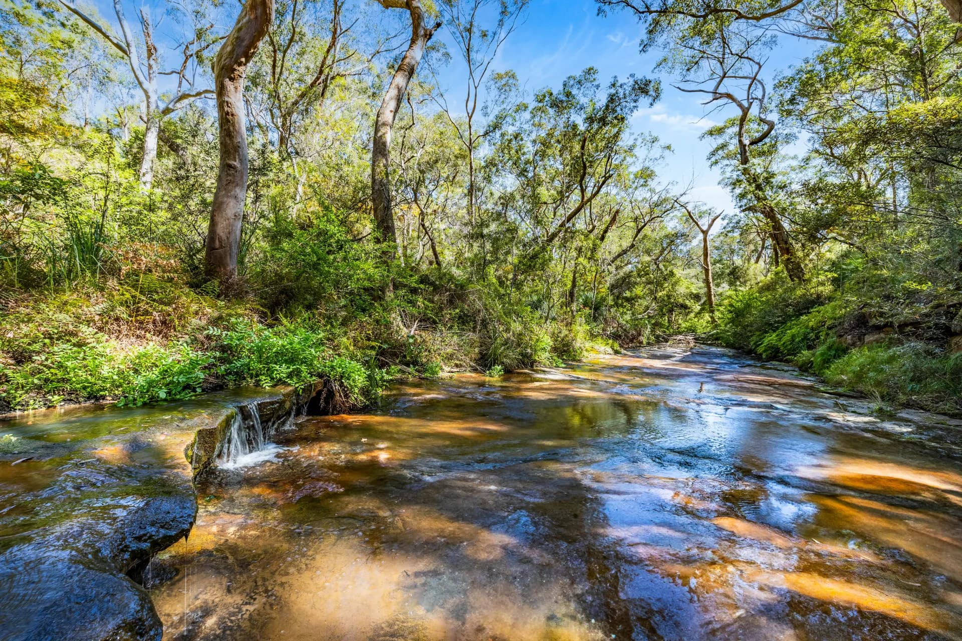 14A Arrunga Road, Arcadia - Thumbnail 7