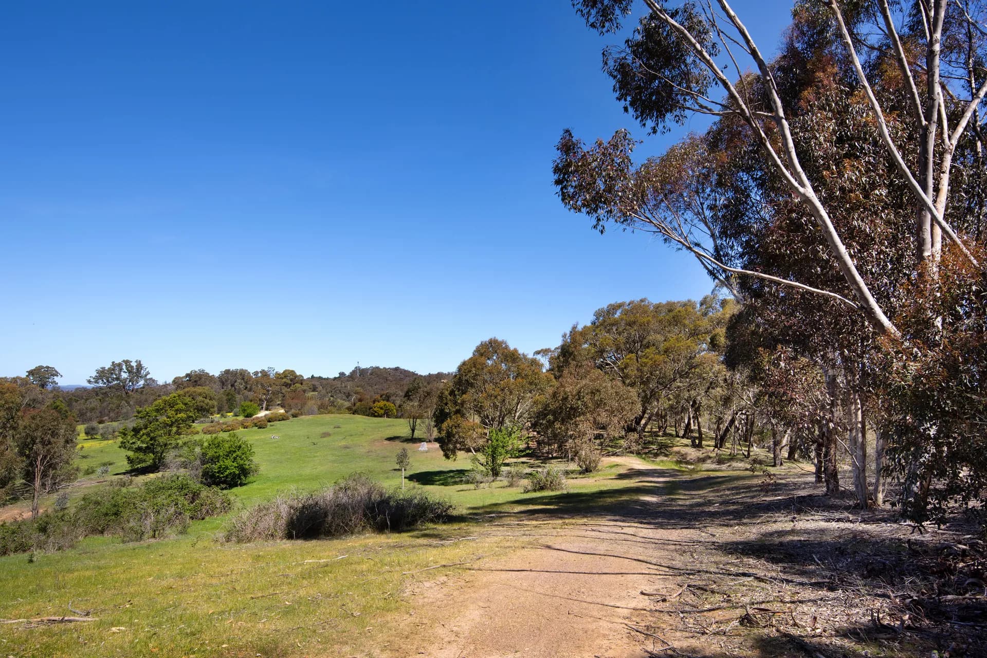 Lot 1, 128 Kennedys Lane, Faraday, VIC, Faraday - Thumbnail 2