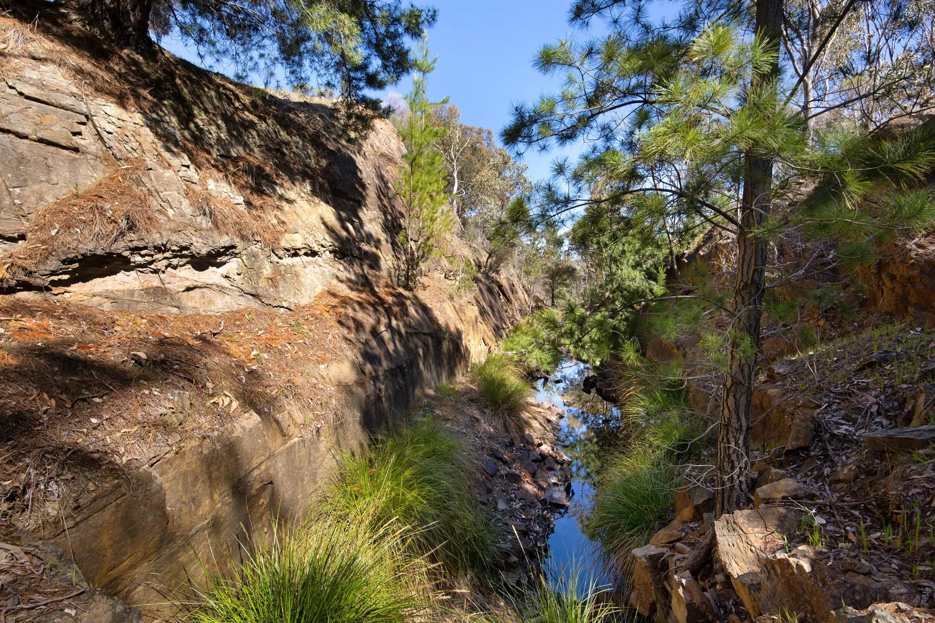 Lot 1, 128 Kennedys Lane, Faraday, VIC, Faraday - Thumbnail 3