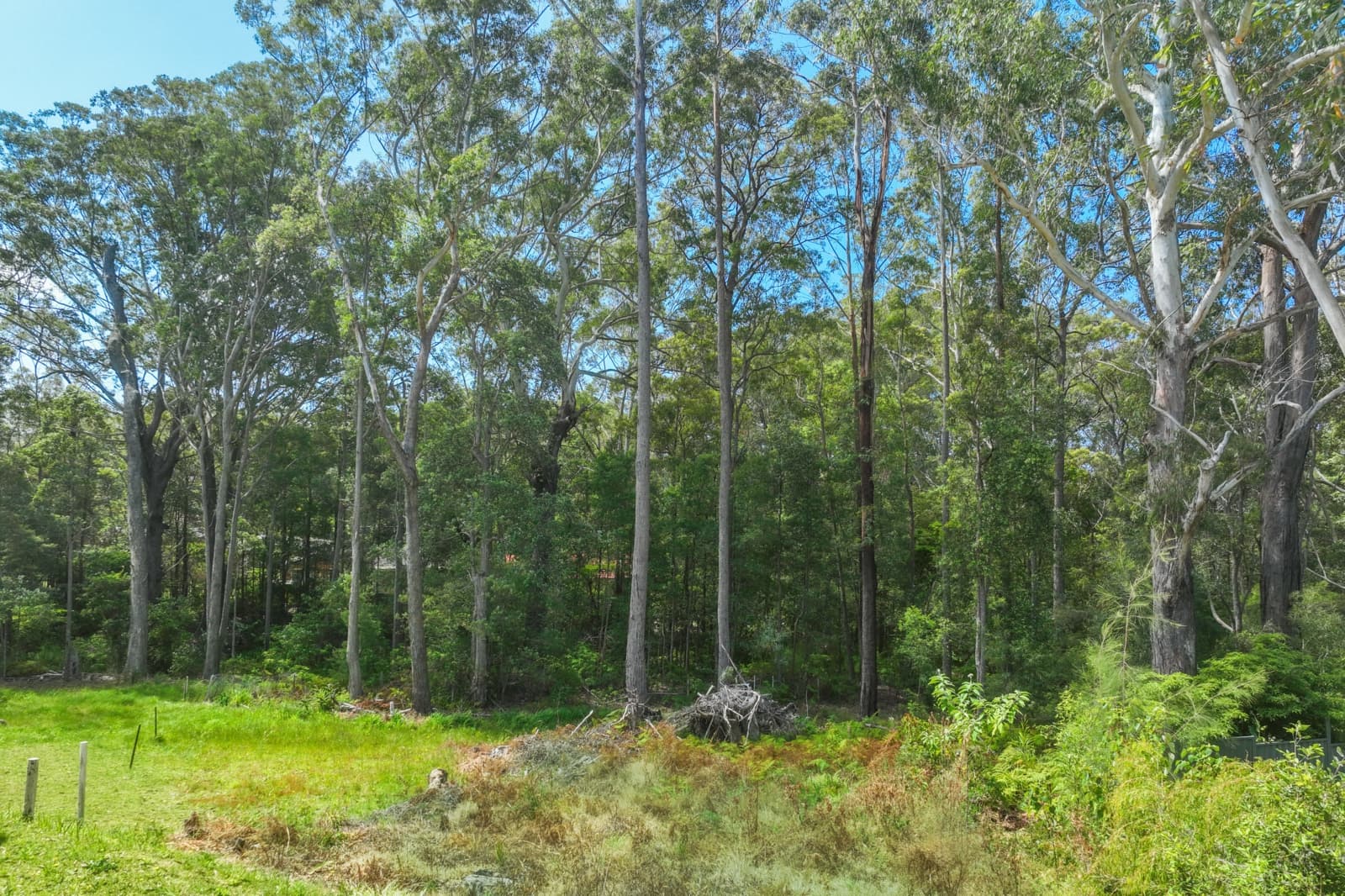 8A Colden Place,Ulladulla, Ulladulla - Thumbnail 5