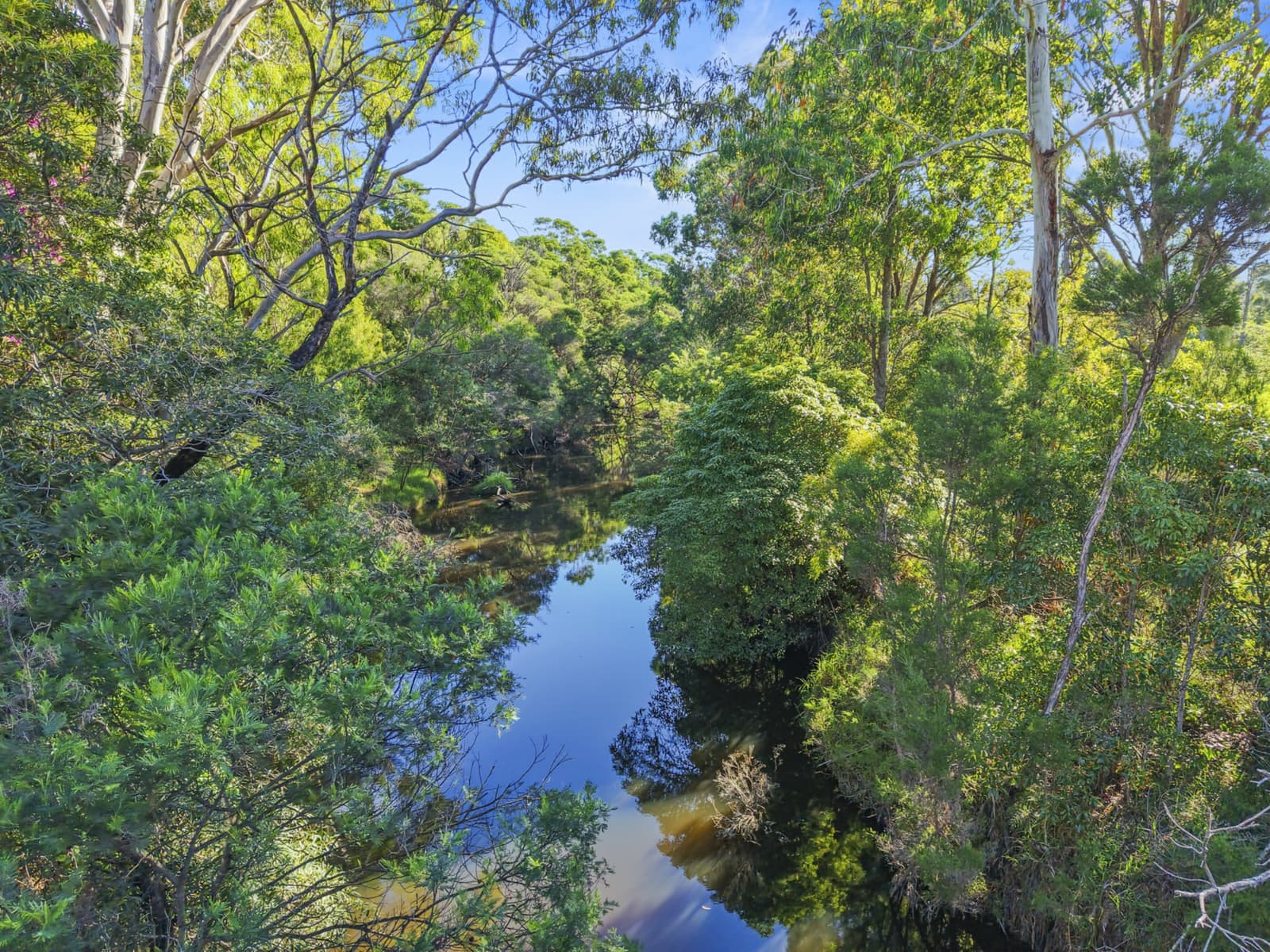 11/44 Munn Street,Merimbula, Merimbula - Thumbnail 5