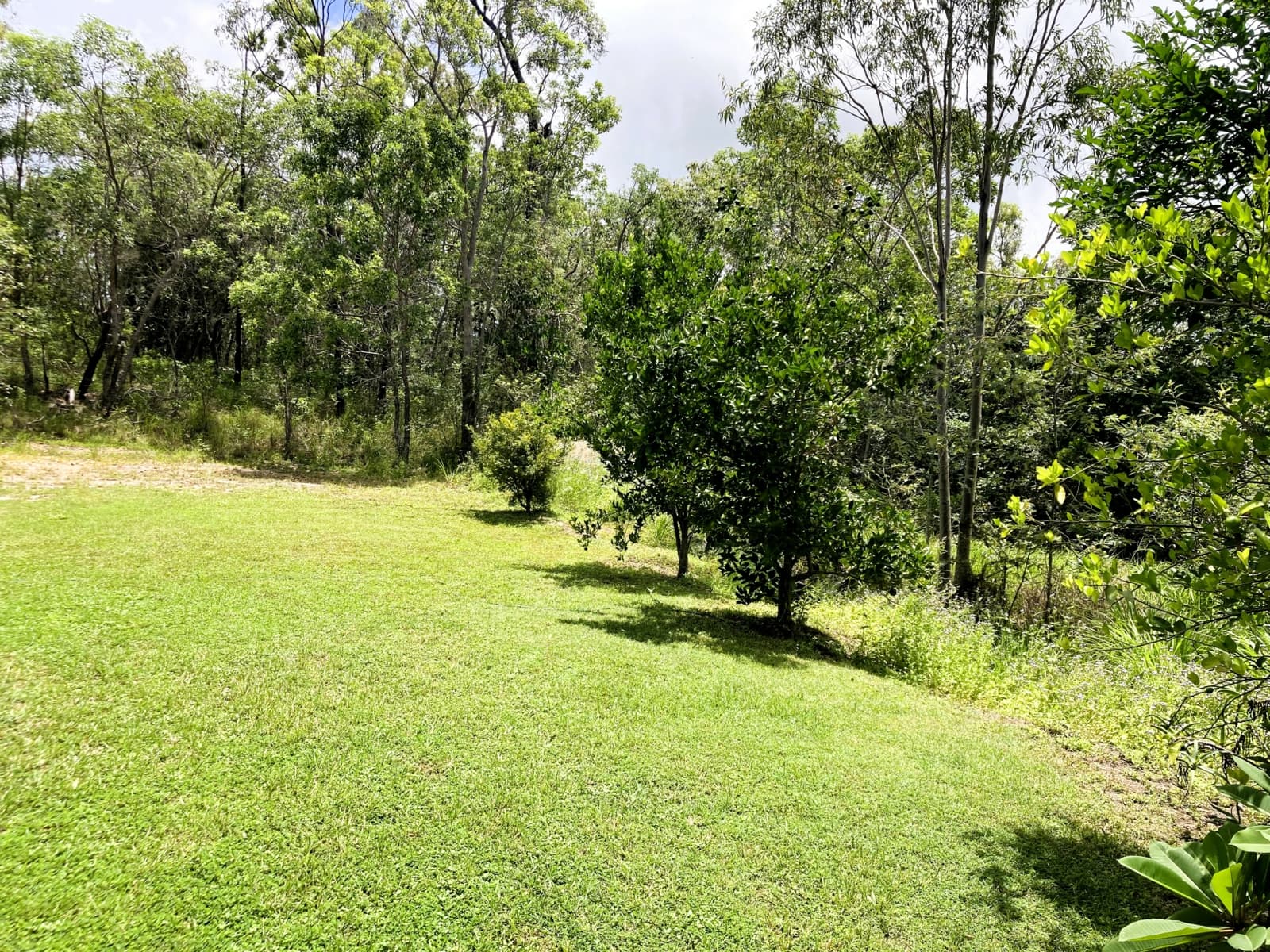 450 Creevey Drive,Captain Creek, Captain Creek - Thumbnail 4