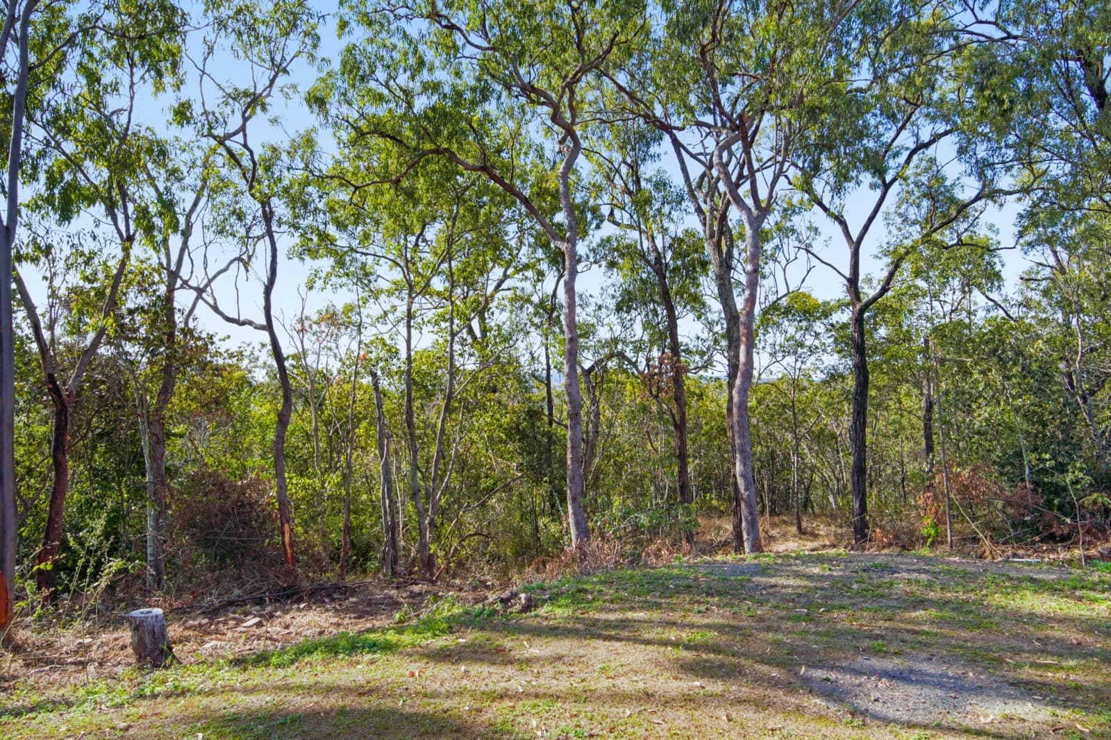 450 Creevey Drive,Captain Creek, Captain Creek - Thumbnail 5