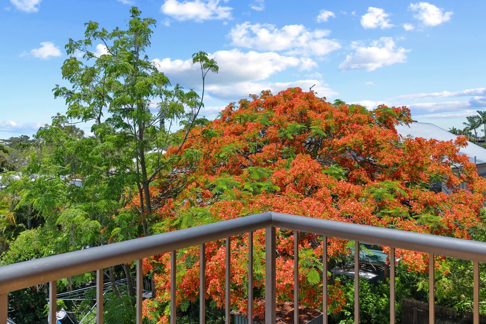5/40 Hamson Terrace,Nundah, Nundah - Thumbnail 4