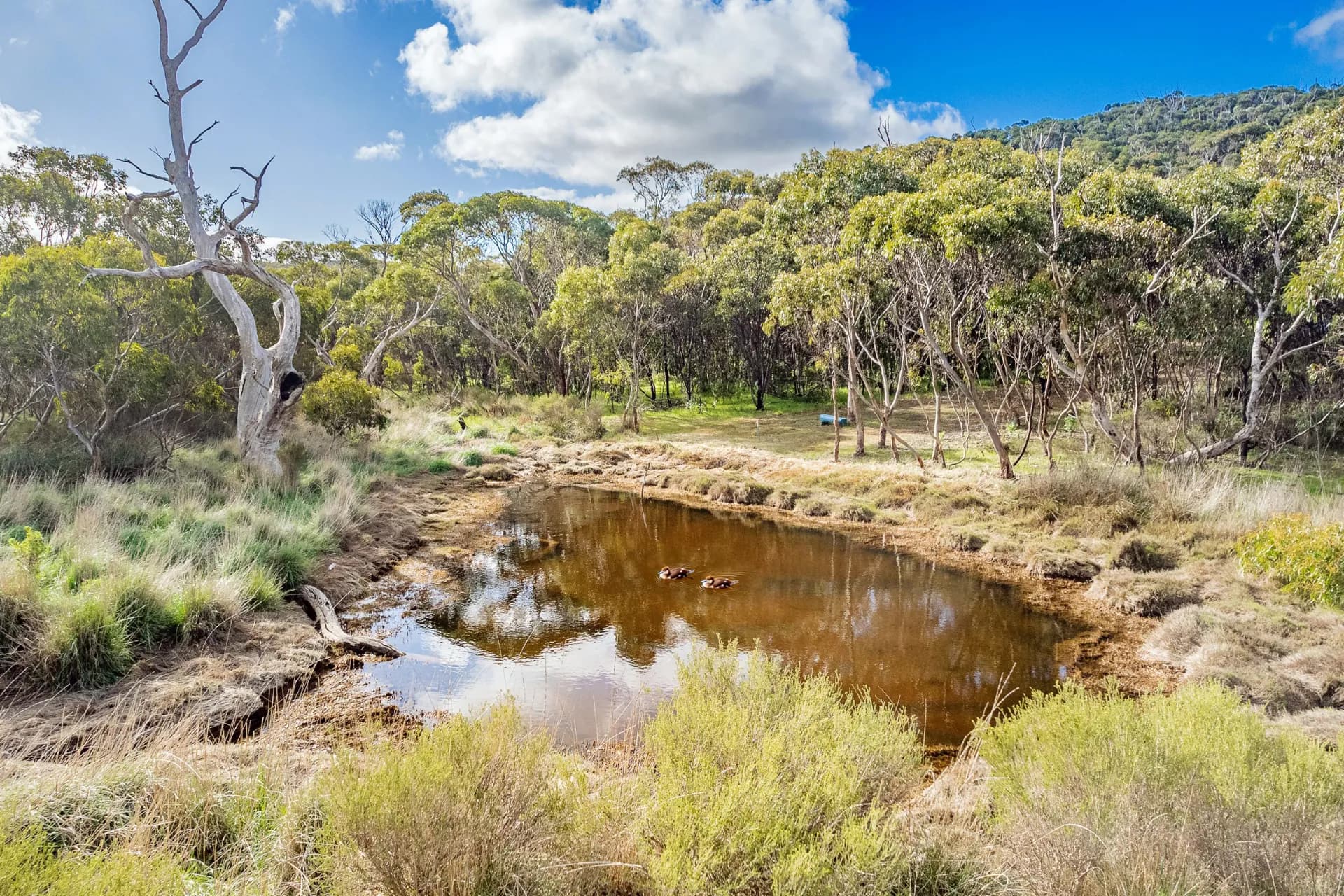 53 Pope Drive, Charlton Gully, SA, Charlton Gully - Thumbnail 7