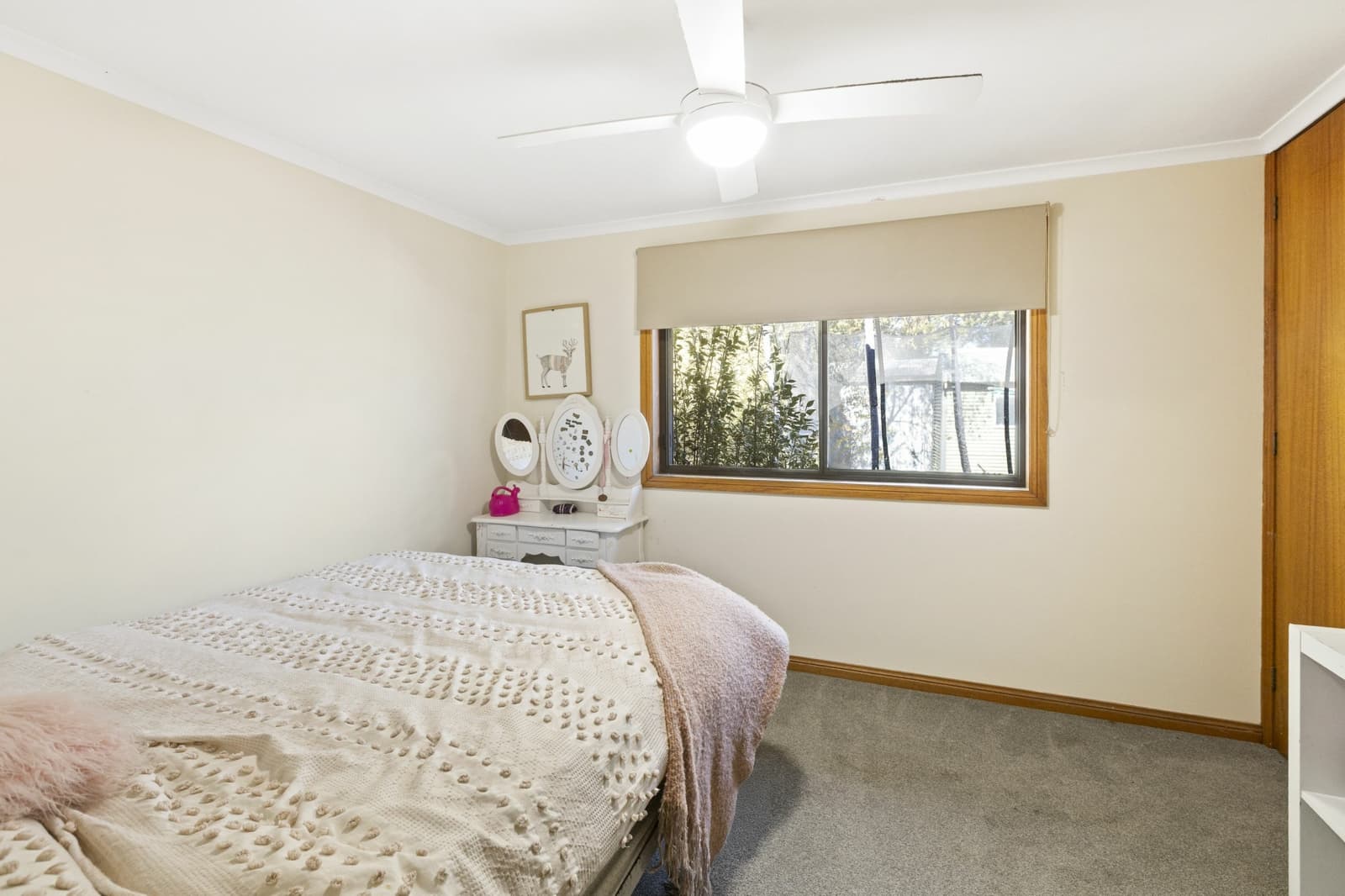 118 Malcolm Street,Mansfield, Mansfield - Thumbnail 7