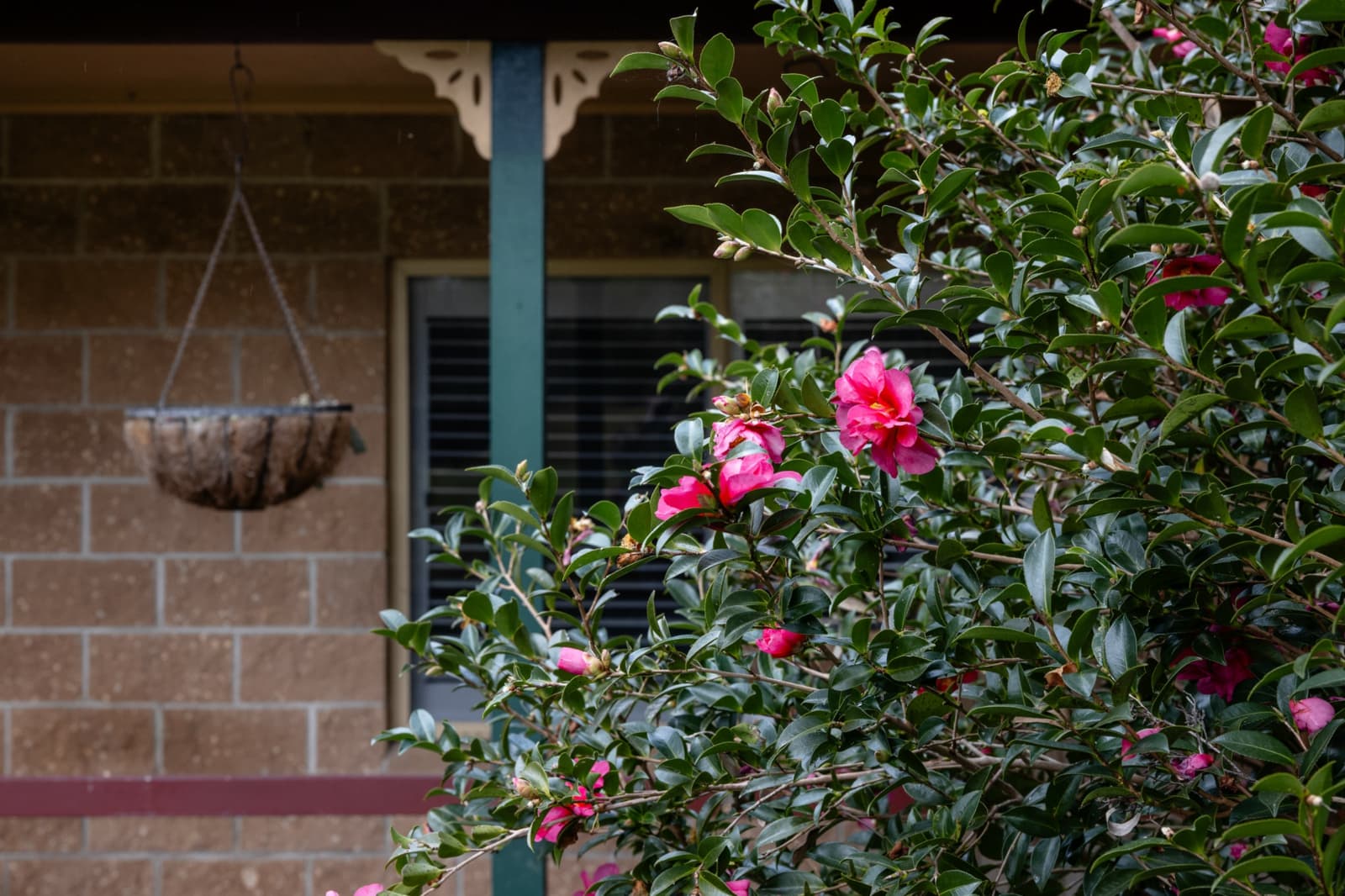 21 Kingfisher Drive,Wingham, Wingham - Image 1