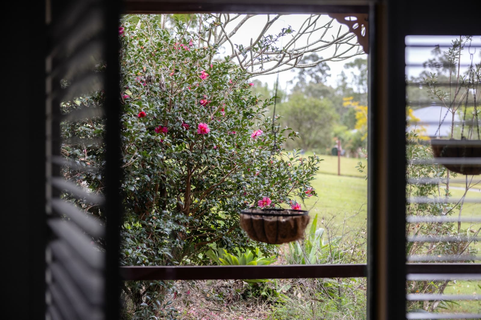 21 Kingfisher Drive,Wingham, Wingham - Thumbnail 5