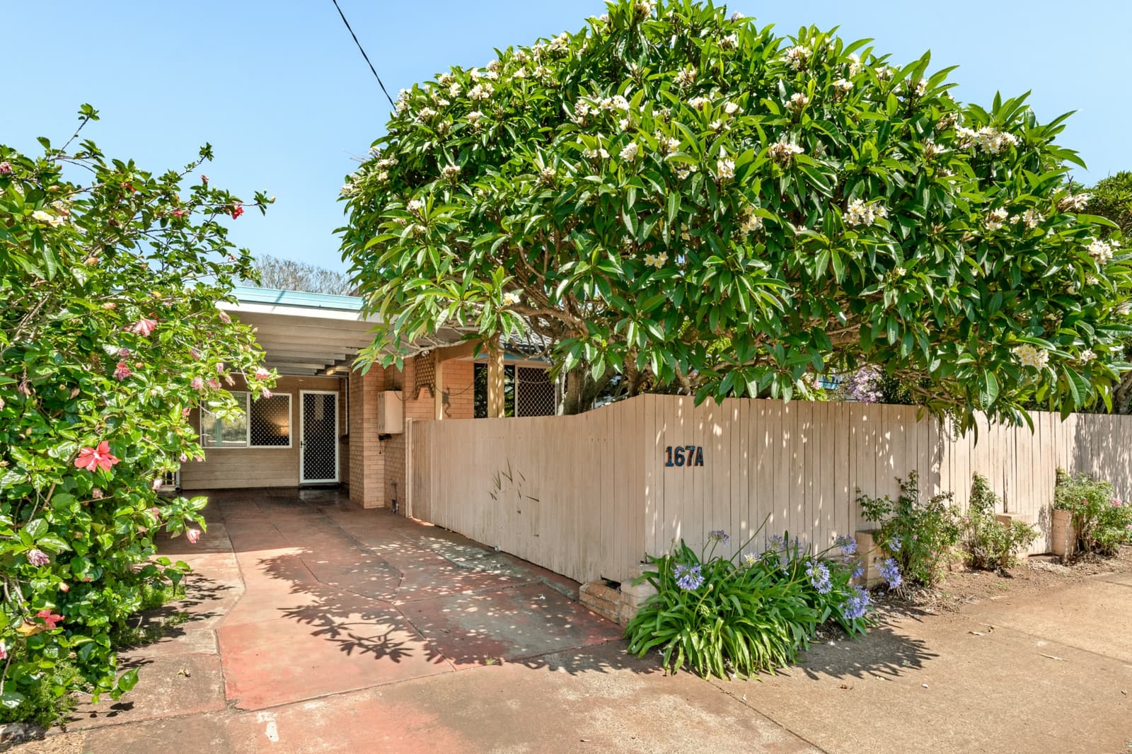 167A Holberton Street,Newtown, Newtown - Image 1