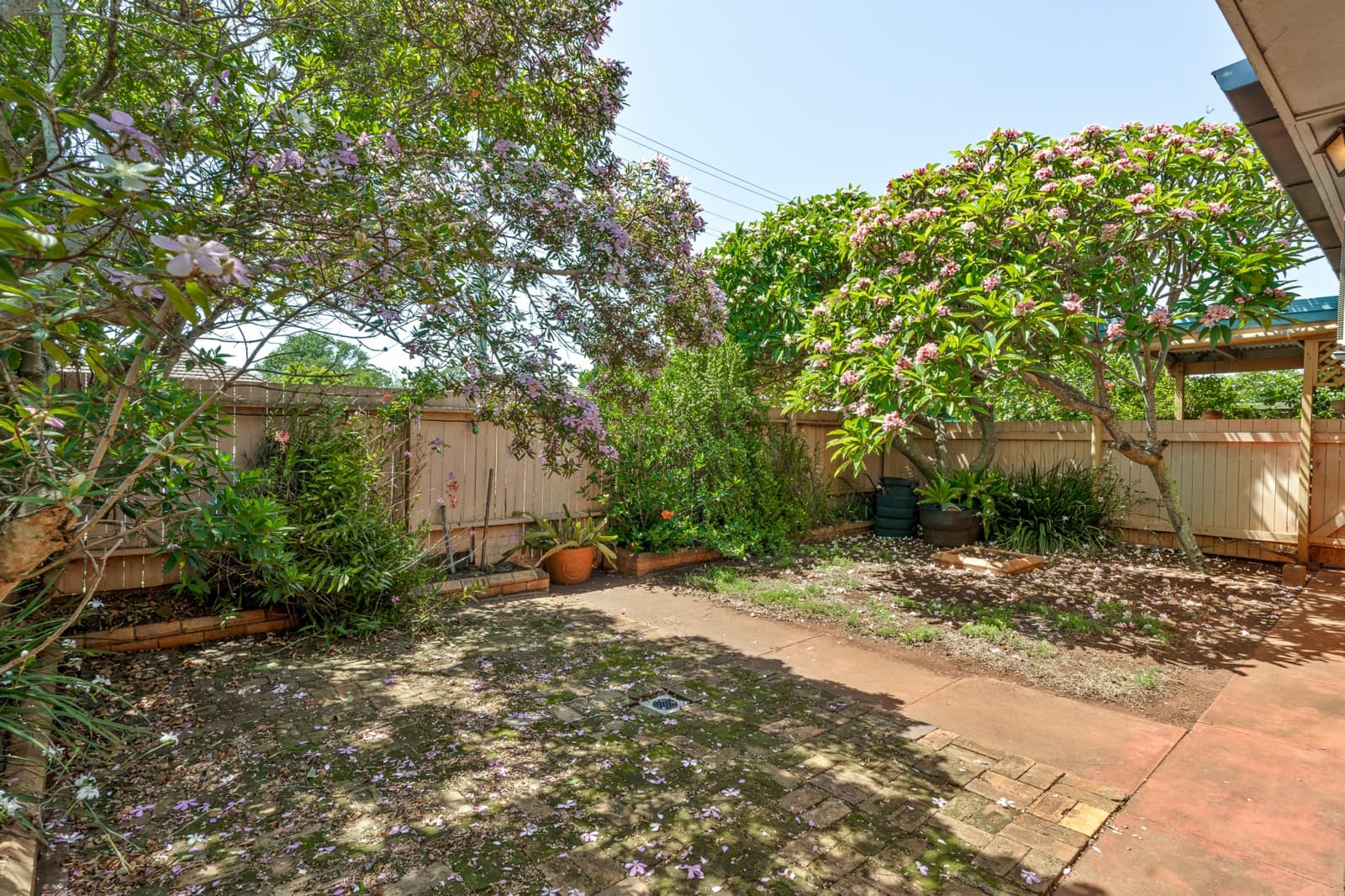 167A Holberton Street,Newtown, Newtown - Thumbnail 6