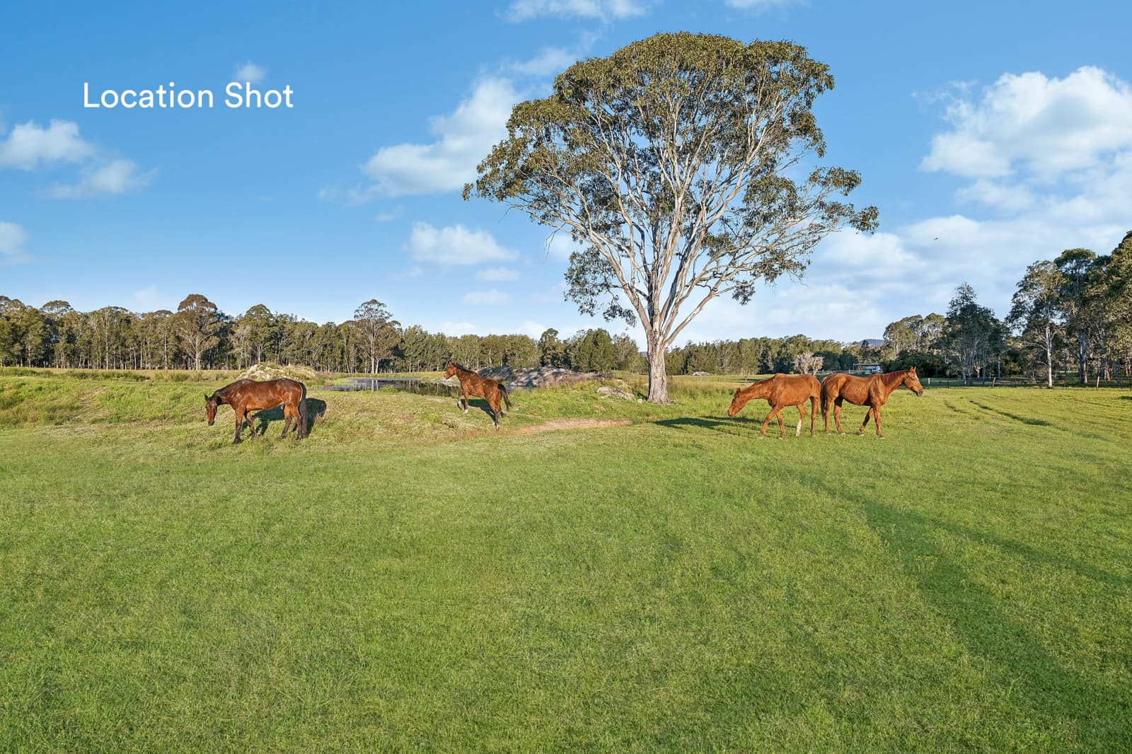 17-25 Fountains Road,Narara, Narara - Thumbnail 3