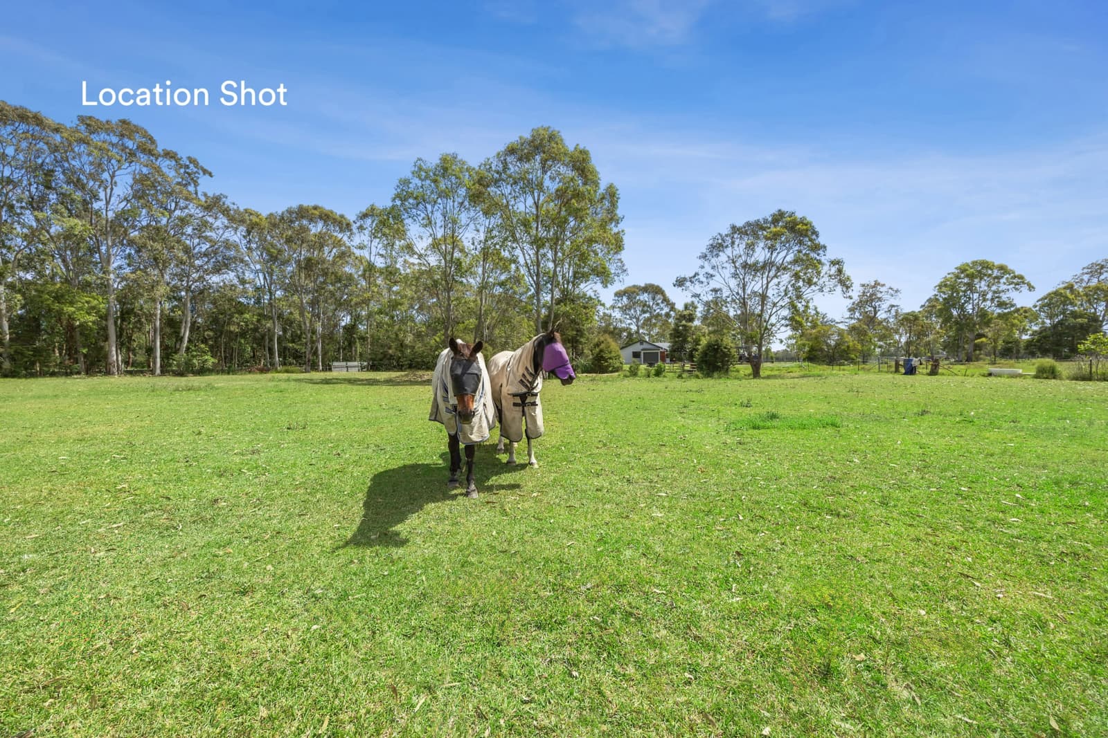 17-25 Fountains Road,Narara, Narara - Thumbnail 4