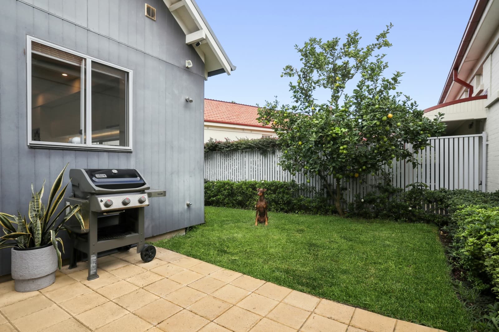 5 Main Avenue,Lidcombe, Lidcombe - Thumbnail 7
