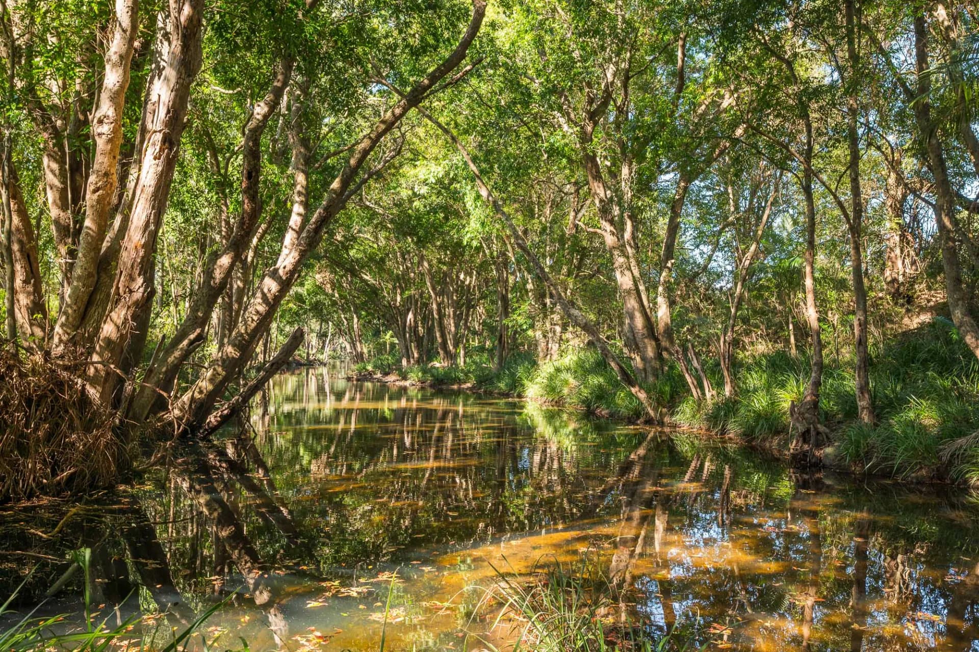 Lot 12, 67 Herron Road, Closeburn, QLD, Closeburn - Thumbnail 5