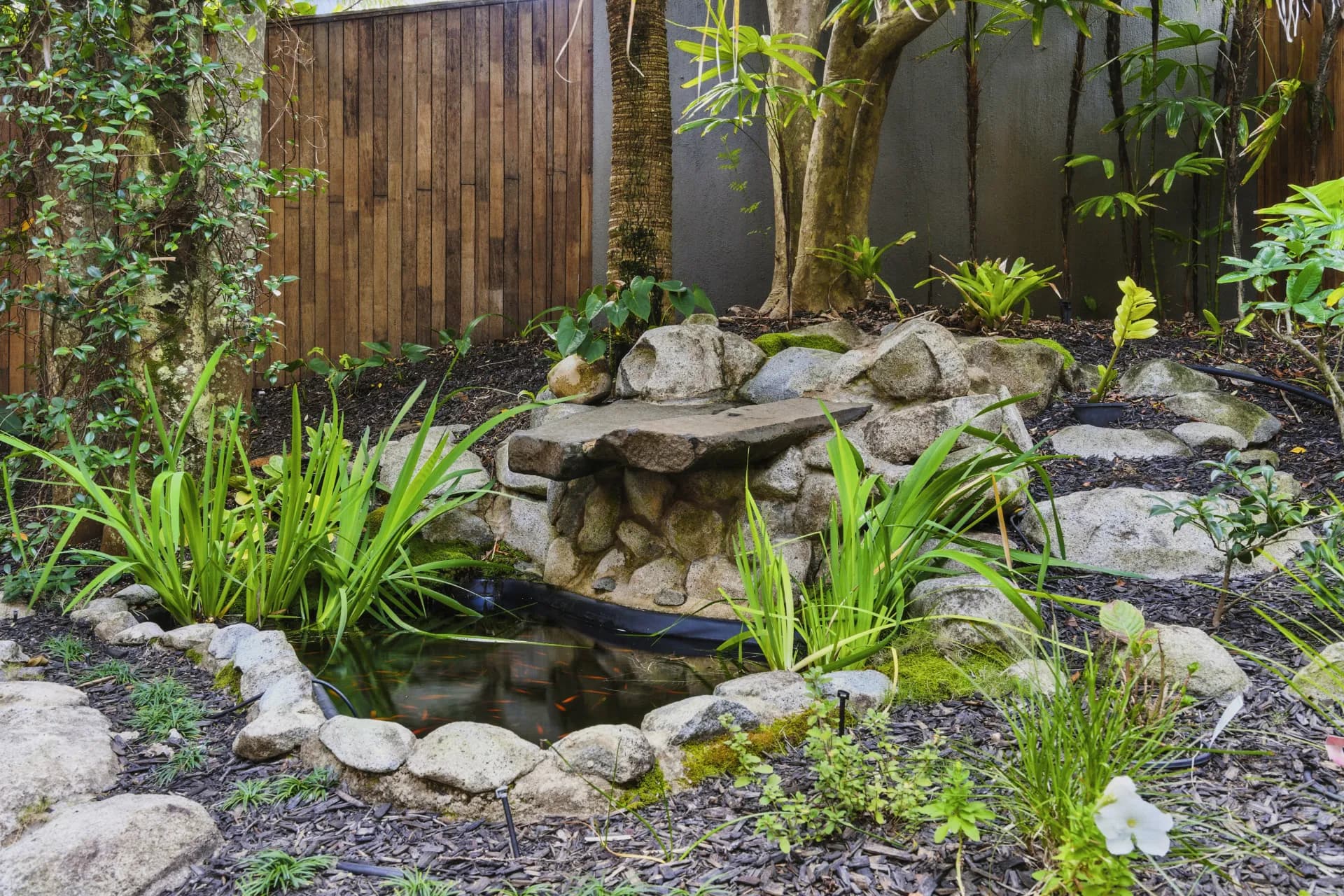 2 Orealla Crescent, Sunrise Beach - Thumbnail 7